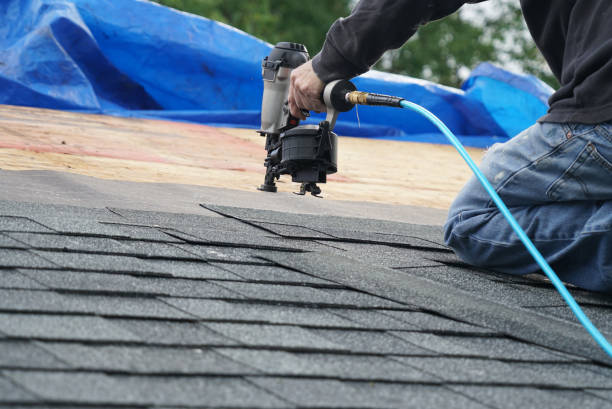 Best Metal Roofing Contractor  in Thruston, KY